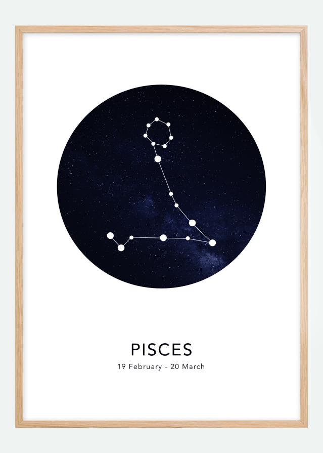 Pisces reklaamplakat