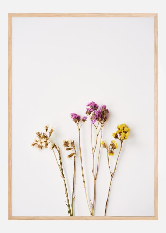 Dried flowers I reklaamplakat