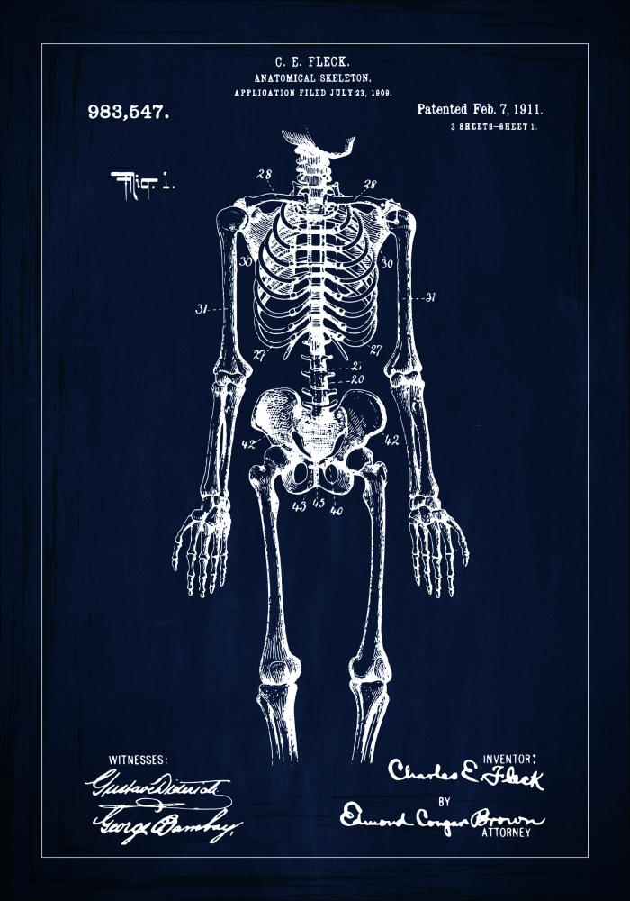 Patenteeritud joonistus - anatoomiline skelett sees - sinine Plakat