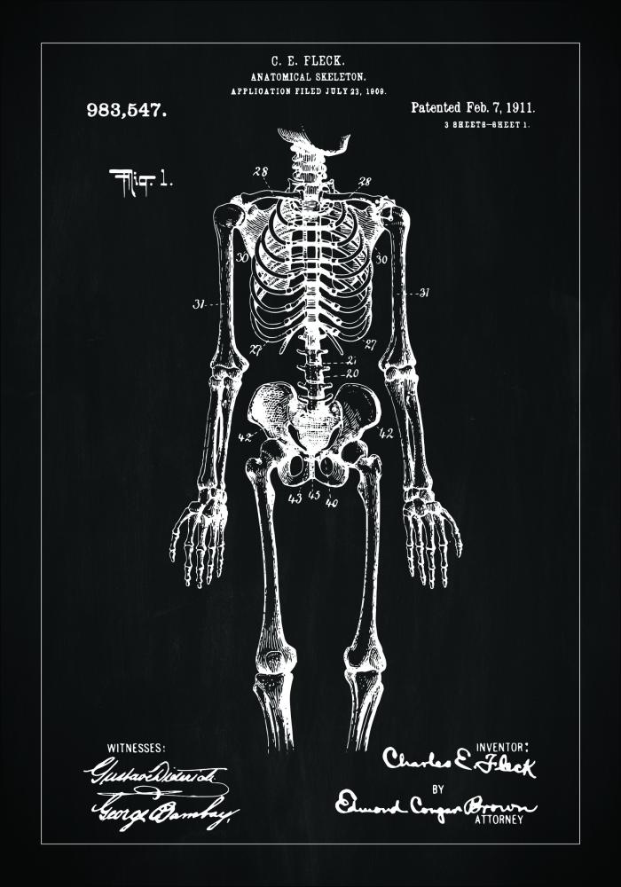 Patenteeritud joonistus - anatoomiline skelett sees - muster reklaamplakat