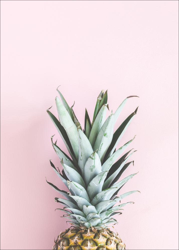 Pineapple Pink reklaamplakat