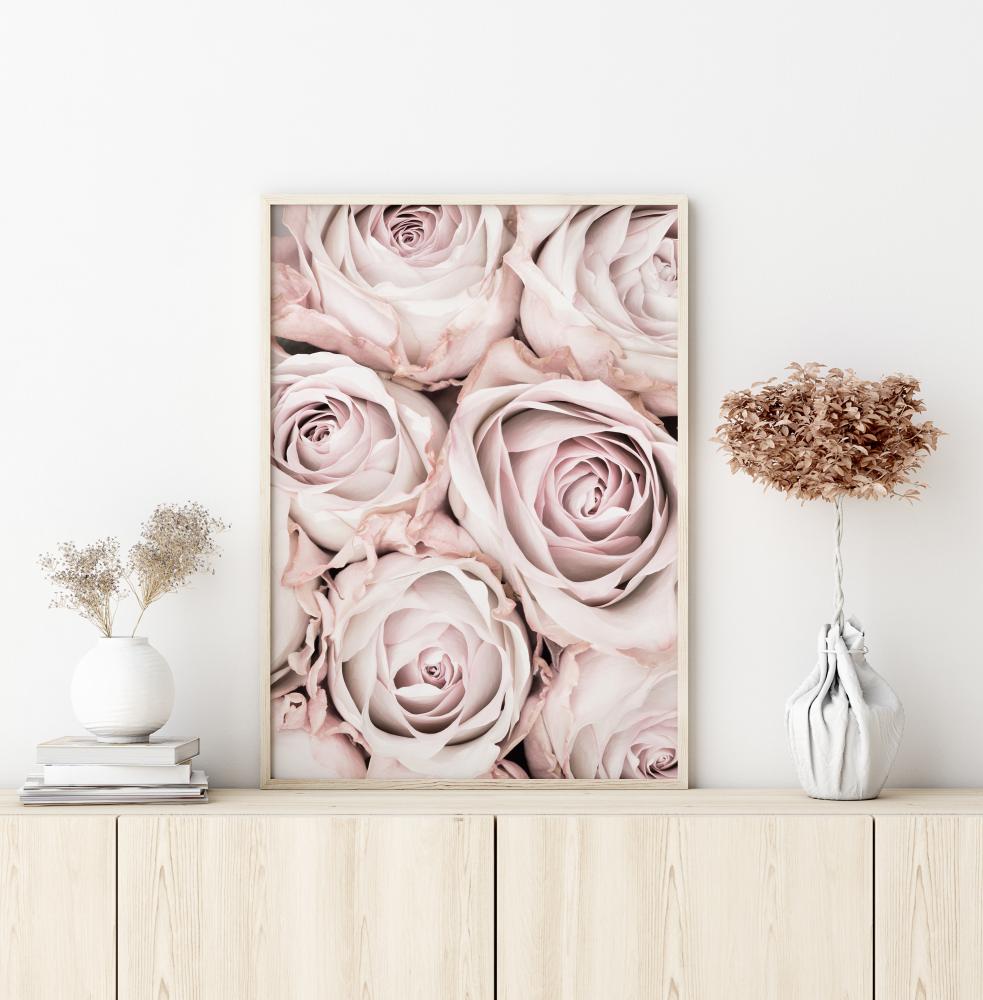 Pink Roses Plakat