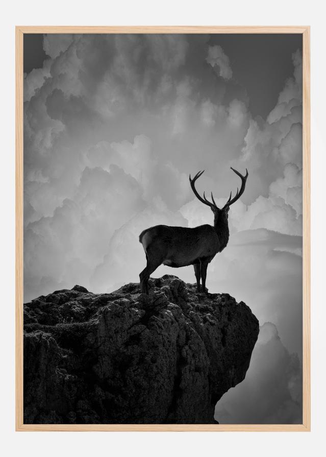 Black and White Deer reklaamplakat