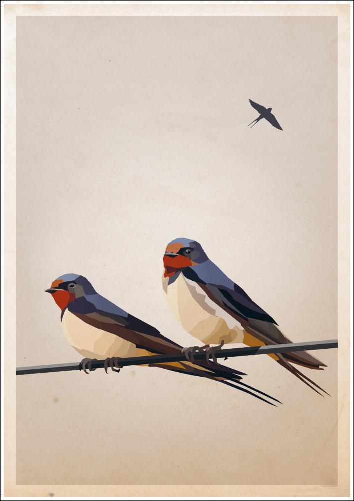 Swallows reklaamplakat