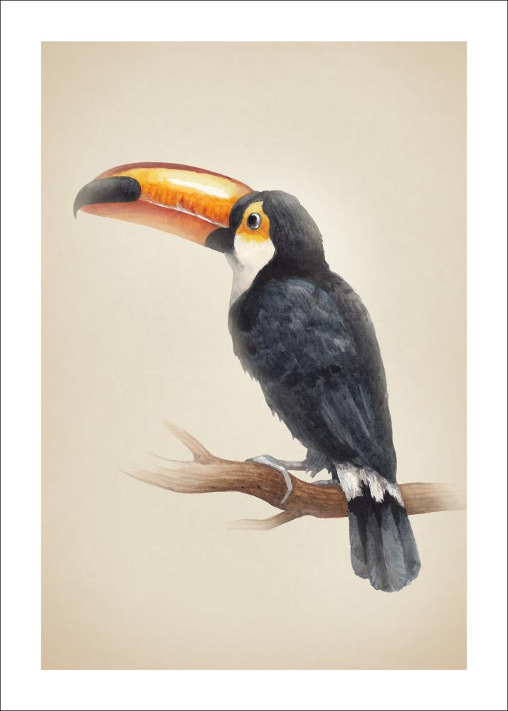 Tropical Toucan reklaamplakat