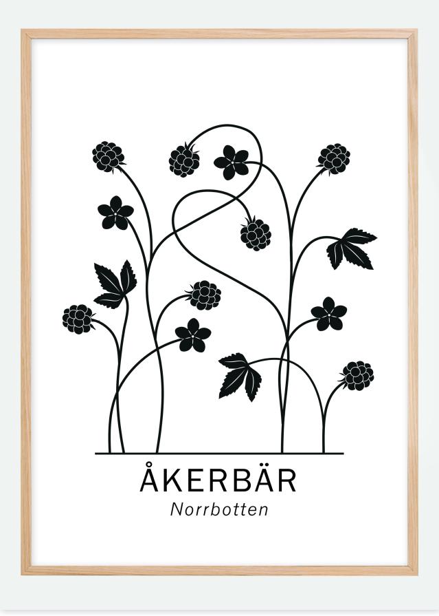 Åkerbär - Norrbotten Poster