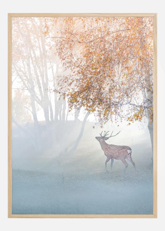 Elk Lost In Mist reklaamplakat