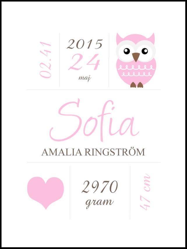 Owl Birth reklaamplakat Pink