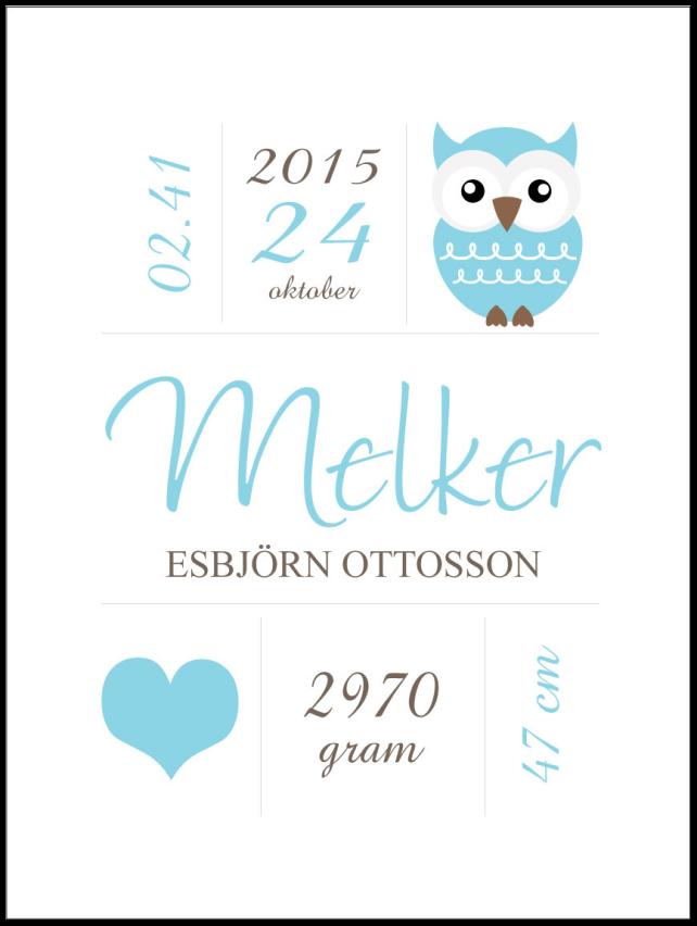 Owl Birth reklaamplakat Blue