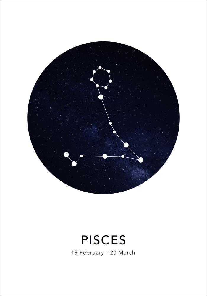 Pisces reklaamplakat