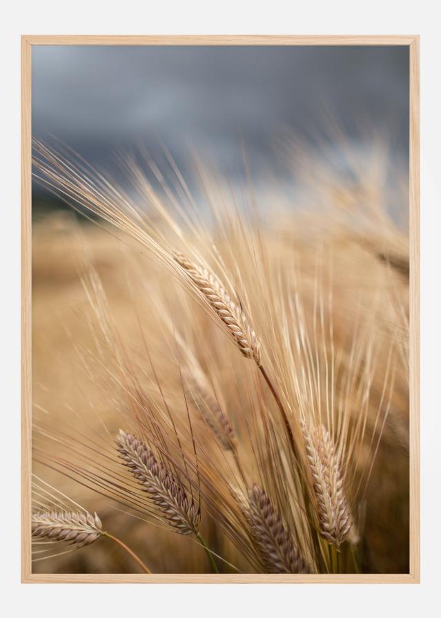 Wheat reklaamplakat