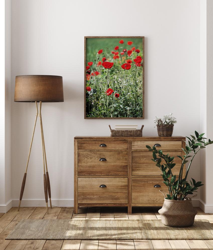 Poppy Fields Plakat