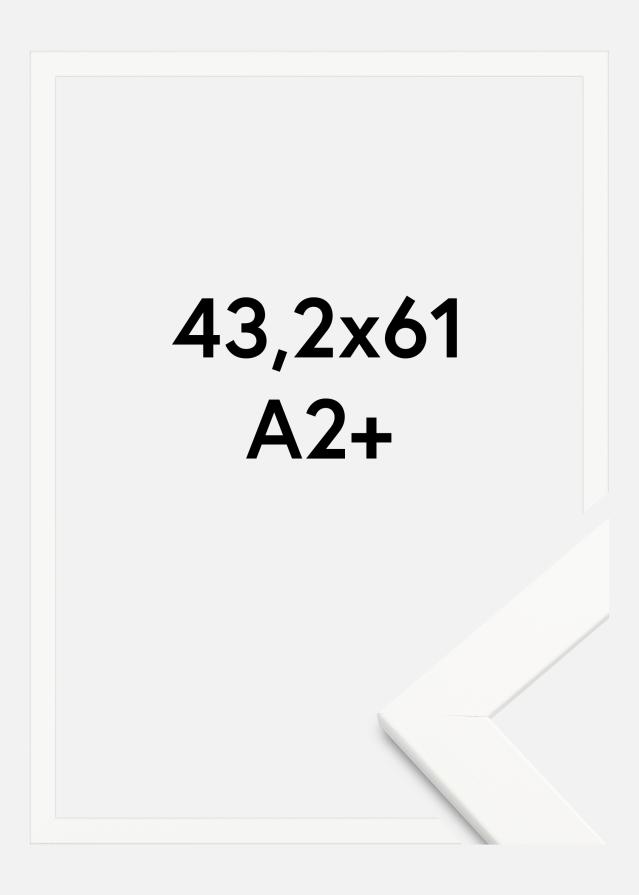 Raam Trendline Akruulklaas valge 43,2x61 cm (A2+)