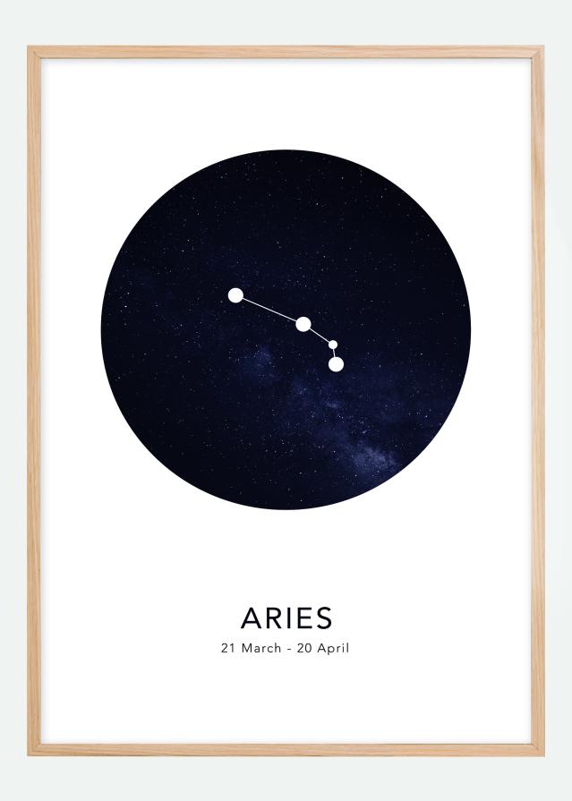 Aries reklaamplakat