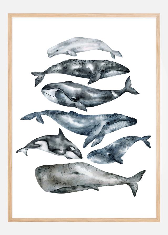 Whales reklaamplakat