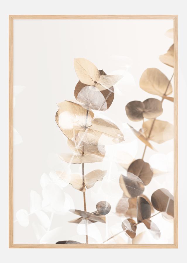 Eucalyptus Creative Gold I reklaamplakat