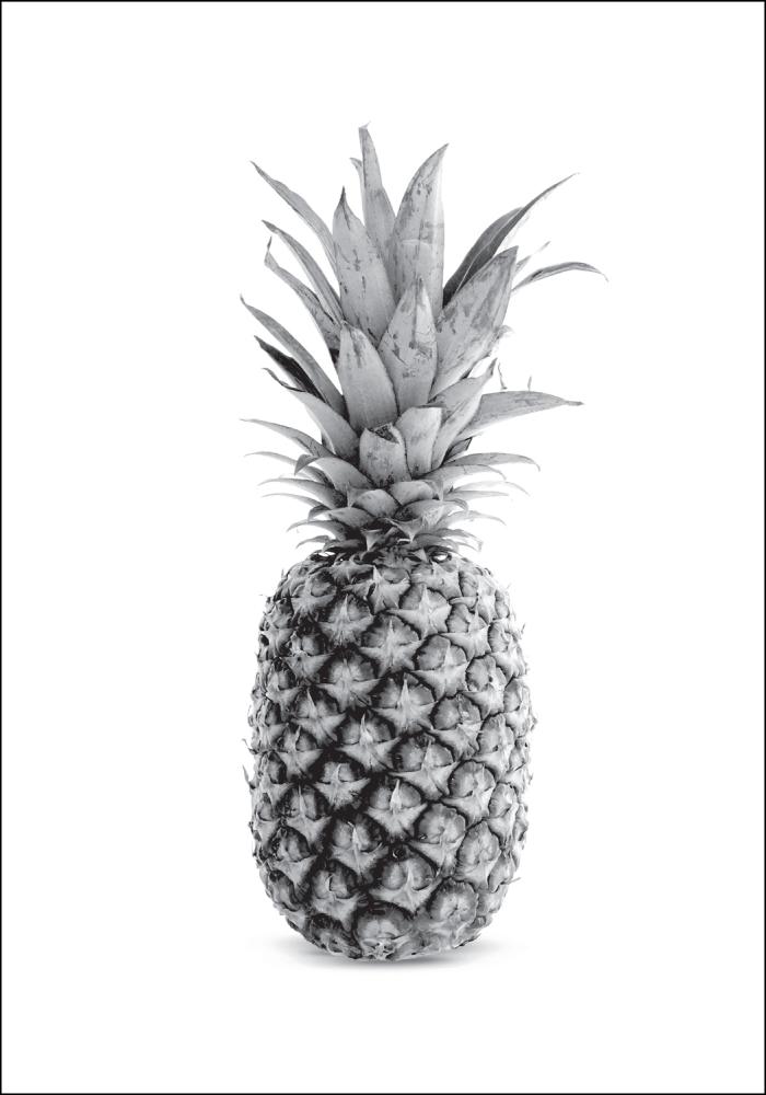 Pineapple Grey reklaamplakat