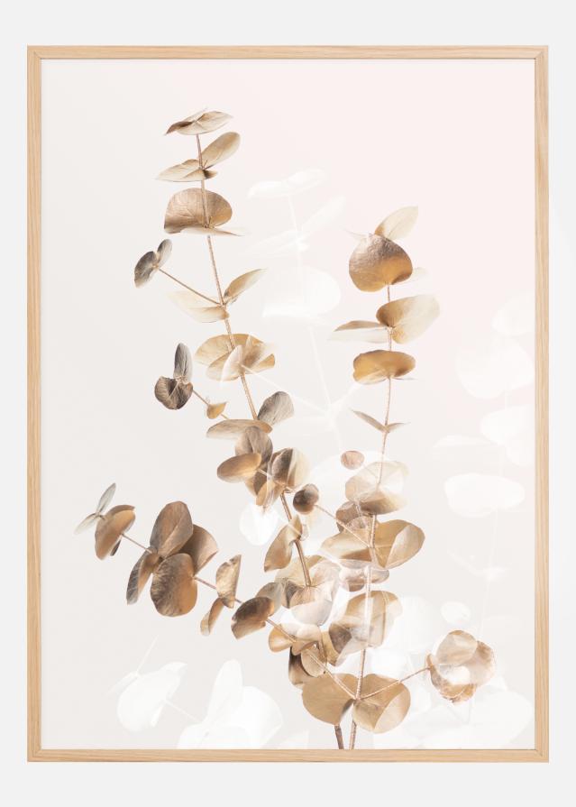 Eucalyptus Creative Gold II reklaamplakat