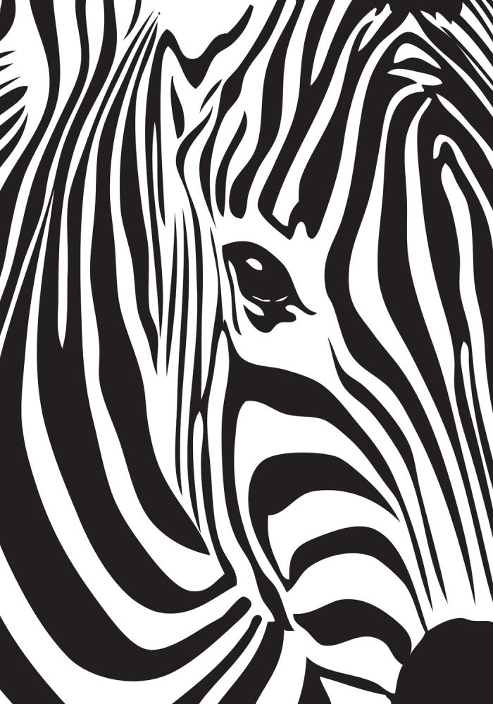 Zebra reklaamplakat