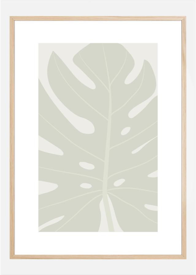 MONSTERA reklaamplakat