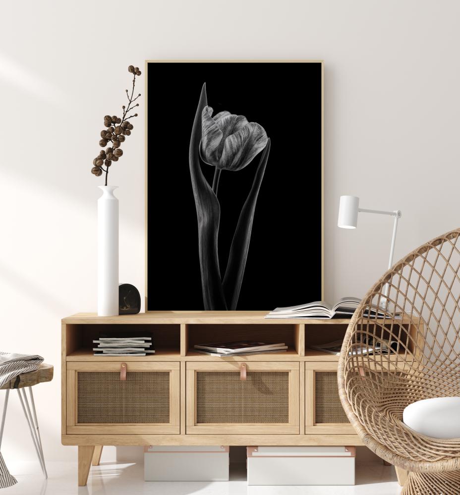 Rembrandt Tulip reklaamplakat