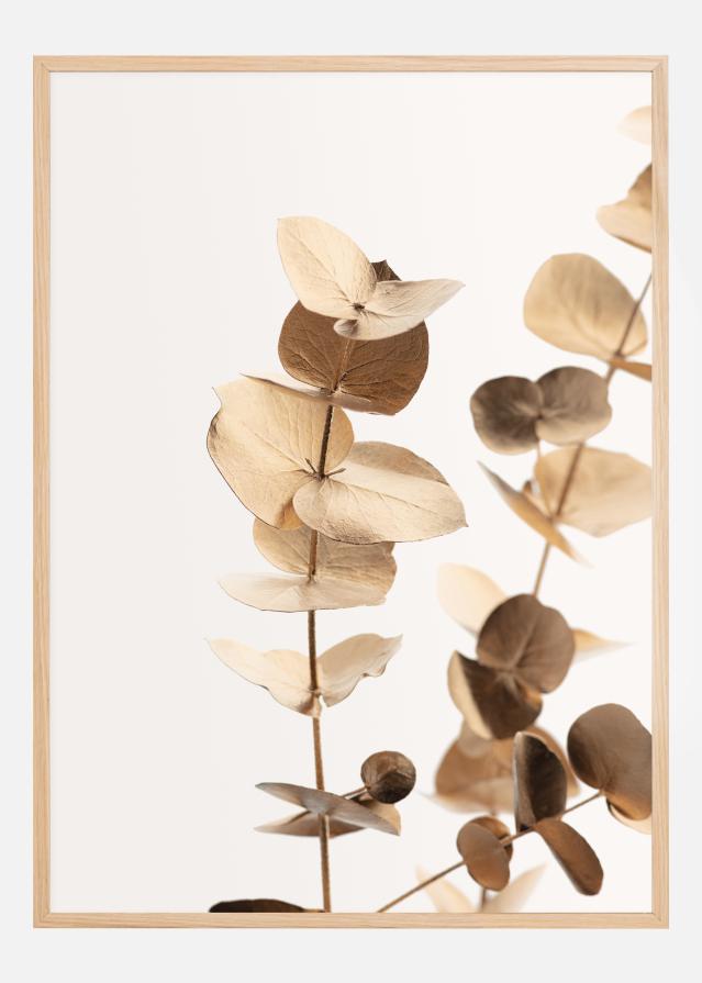 Eucalyptus Gold I reklaamplakat