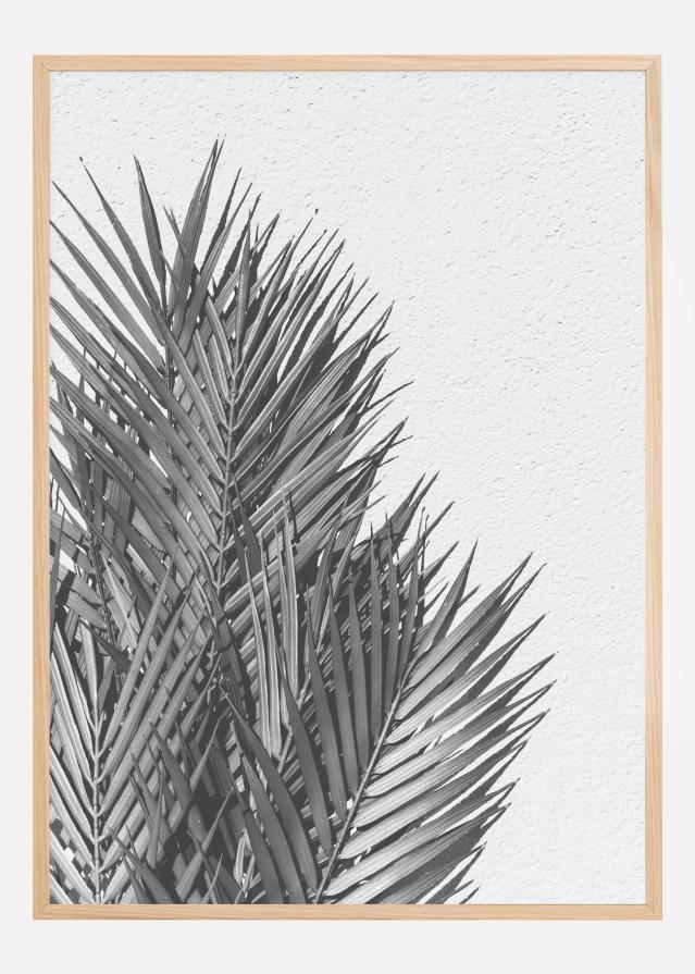 Palm Leaves reklaamplakat