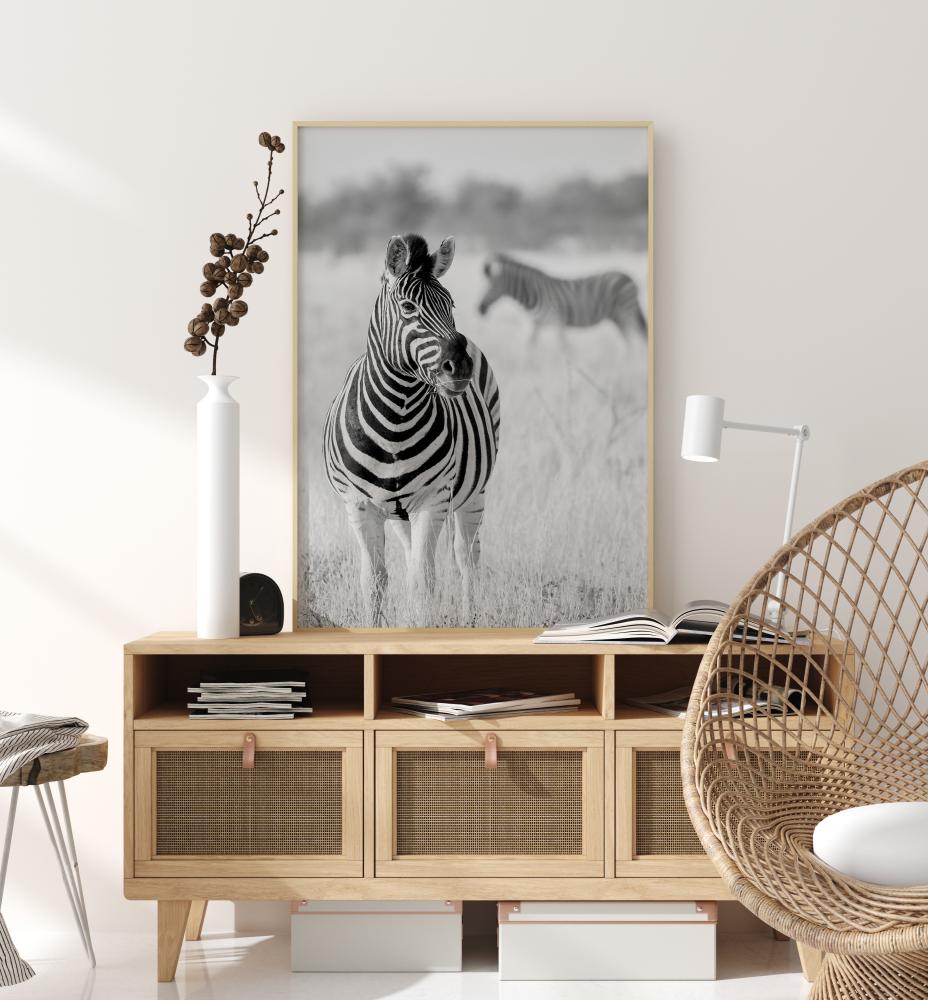 Zebra Bw reklaamplakat