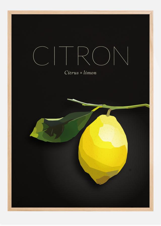 Citron reklaamplakat