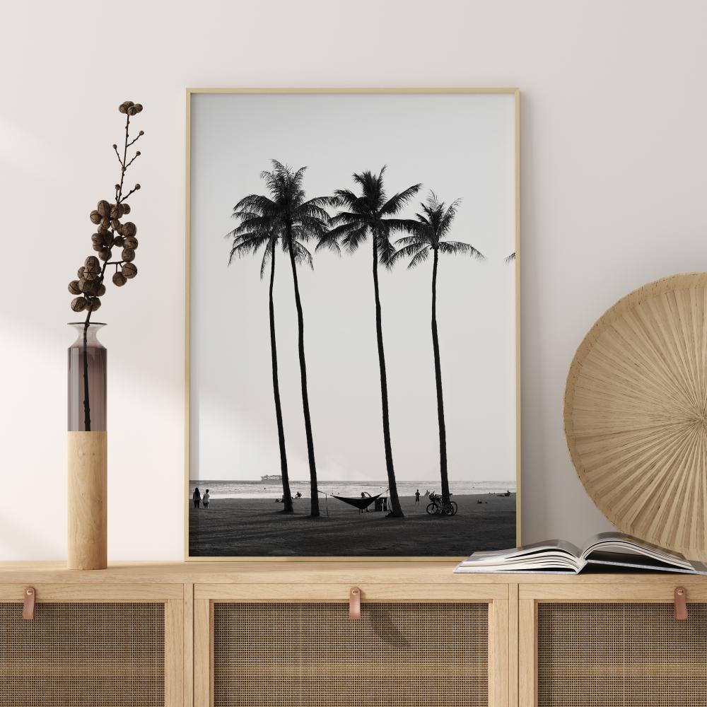 Black And White Palm Trees Plakat