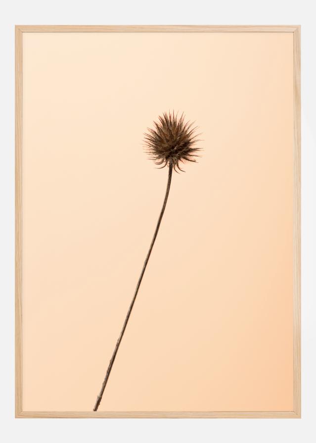 Thistle Peach reklaamplakat