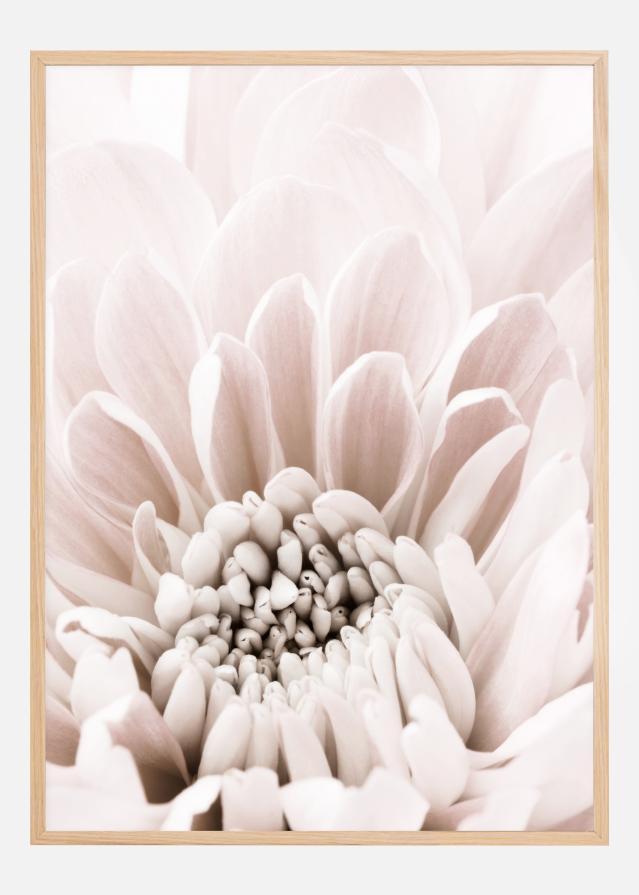 Chrysanthemum I reklaamplakat