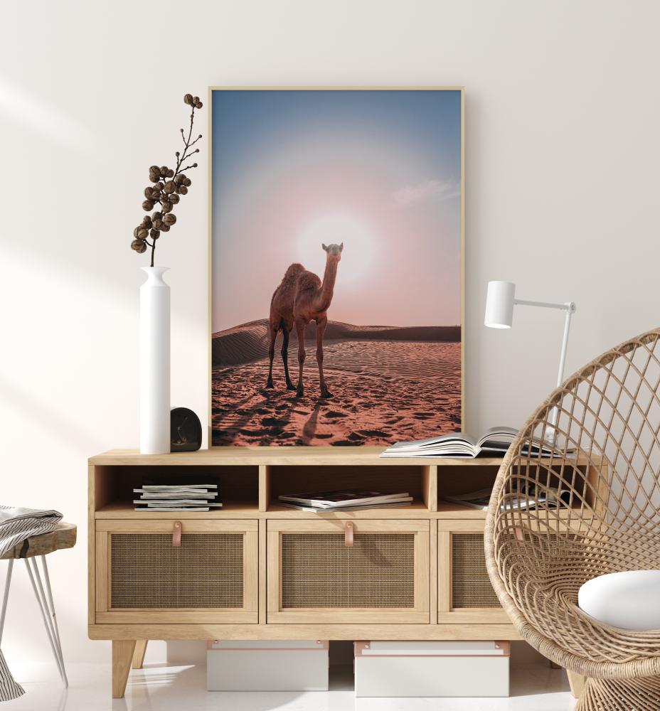 Camel reklaamplakat