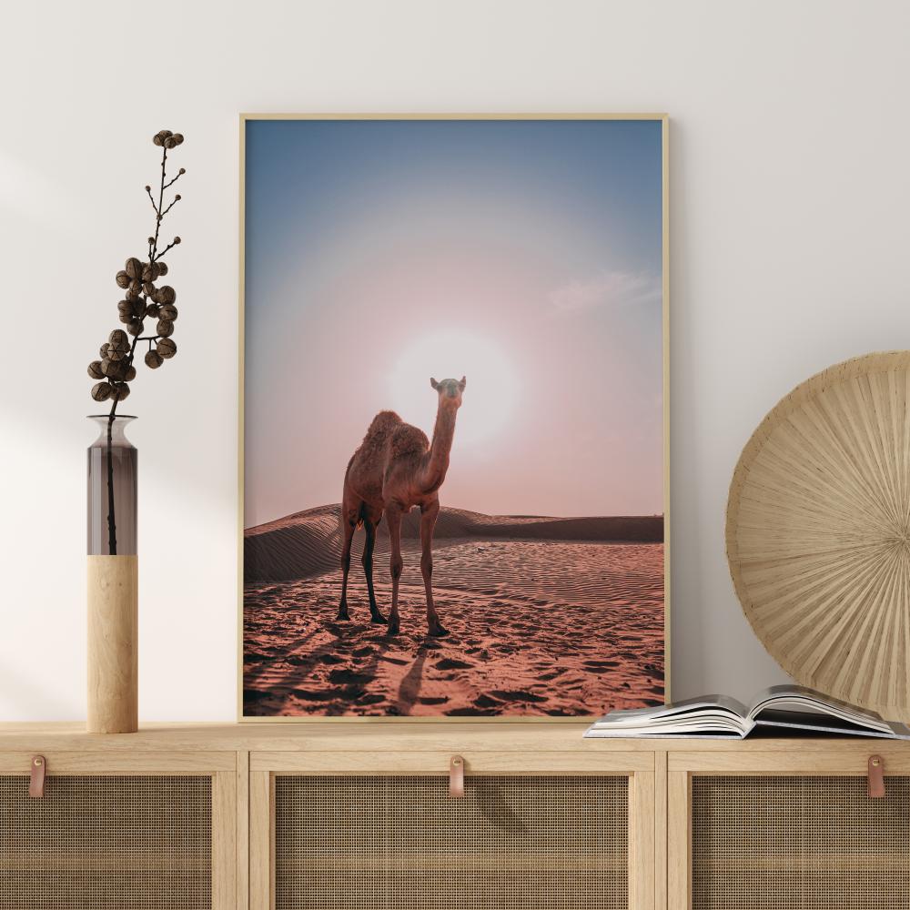 Camel reklaamplakat