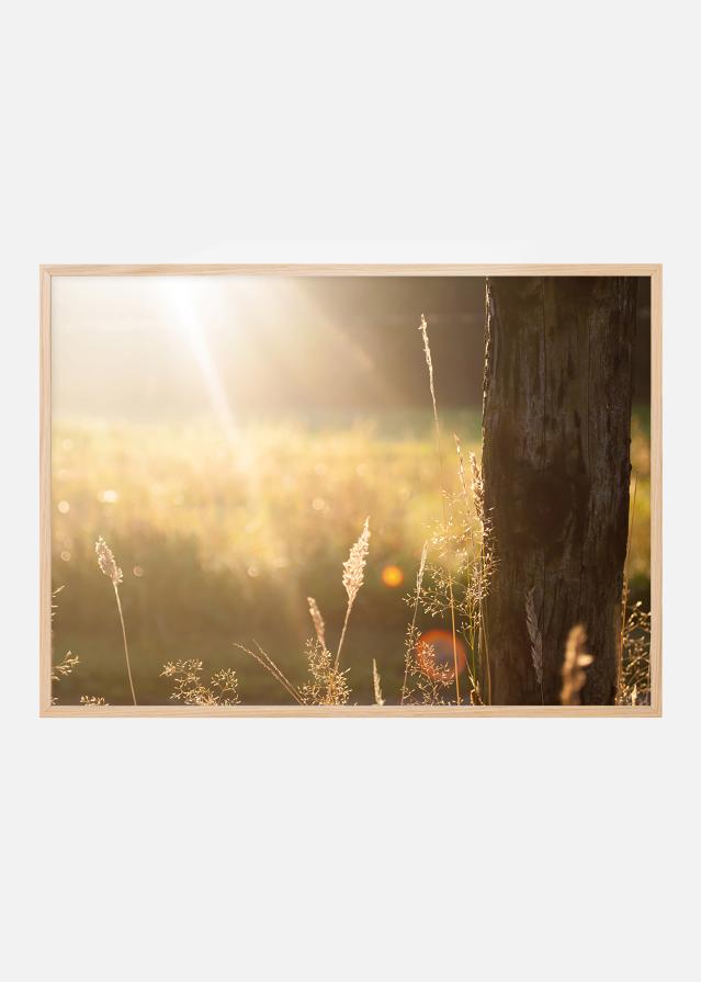 Paikesekiir - reklaamplakat