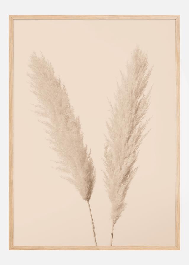 Pampas Grass I reklaamplakat