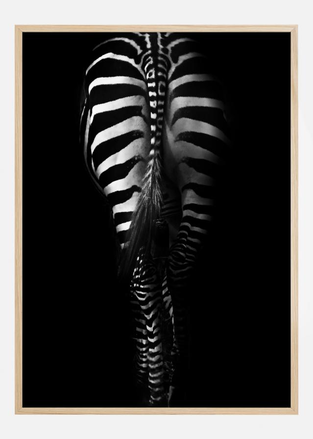 Zebra Tail reklaamplakat