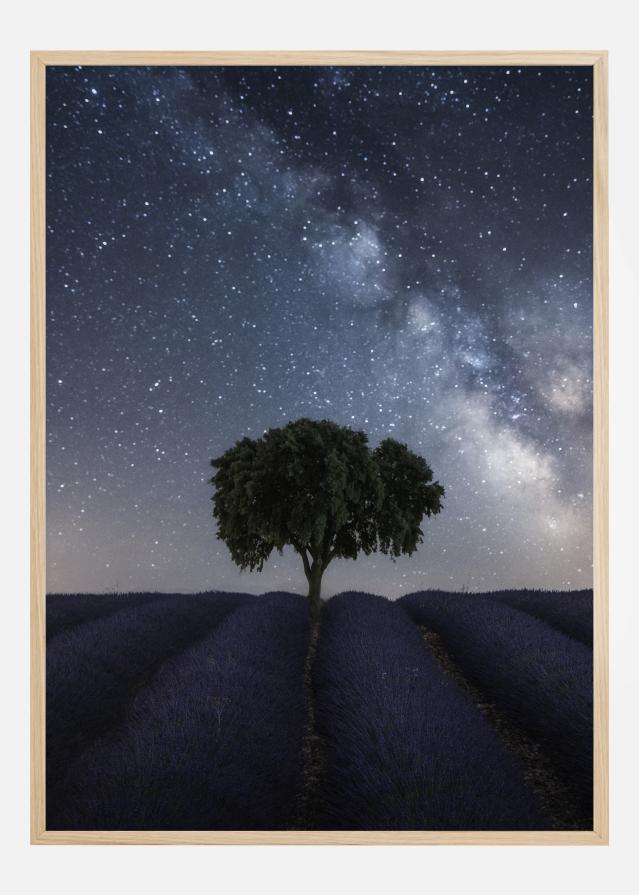 Tree And Milky Way reklaamplakat