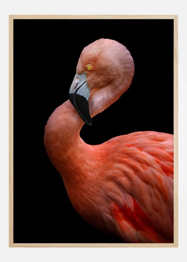 Flamingo at night reklaamplakat