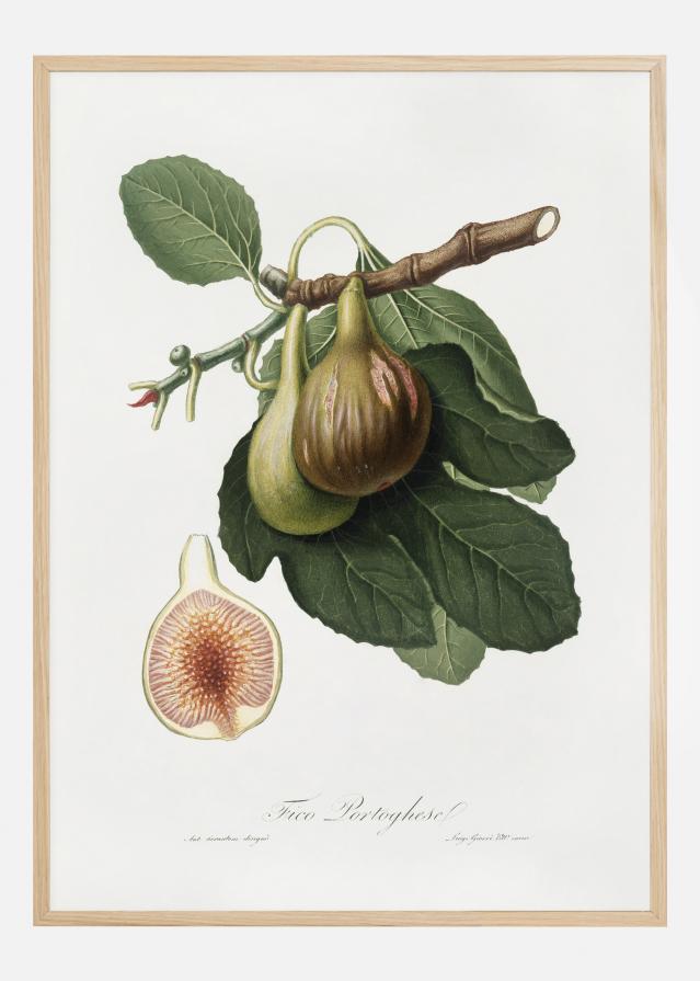 Figs reklaamplakat