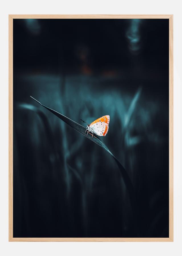 A Lonely Butterfly reklaamplakat