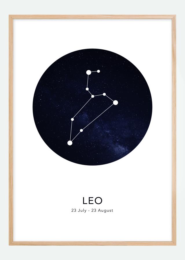 Leo reklaamplakat