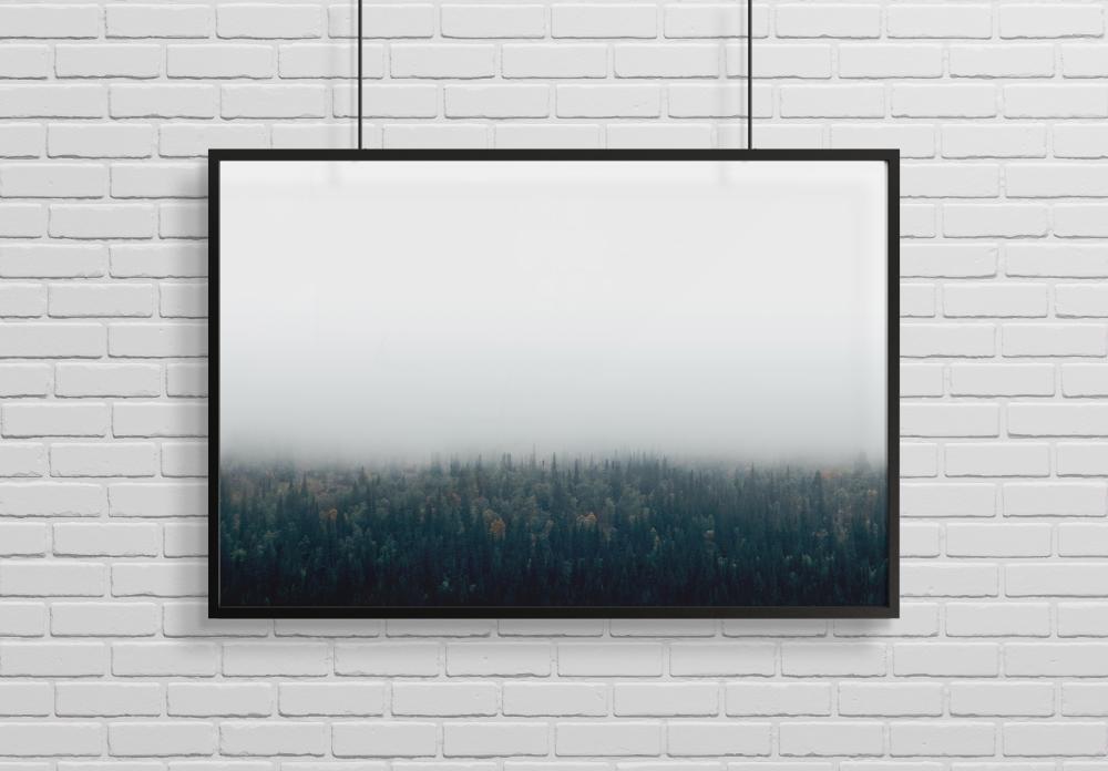 Forests in fog Plakat