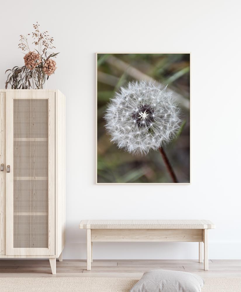 Dandelion reklaamplakat