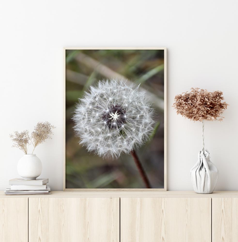 Dandelion reklaamplakat