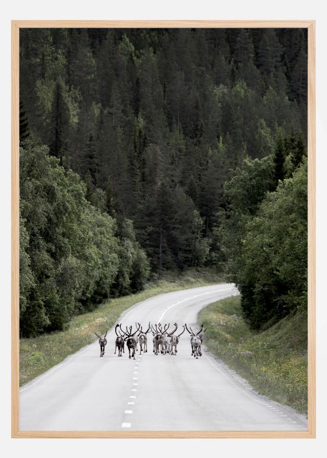 Reindeer road reklaamplakat