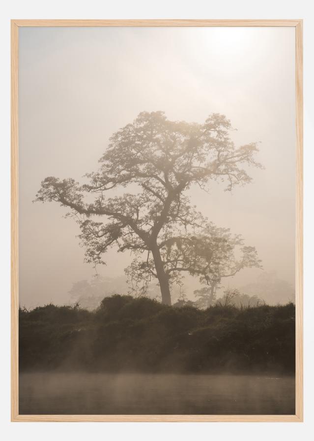 Misty Tree reklaamplakat