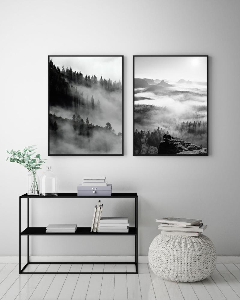 Foggy Forest Black & White I - 50x70 cm reklaamplakat