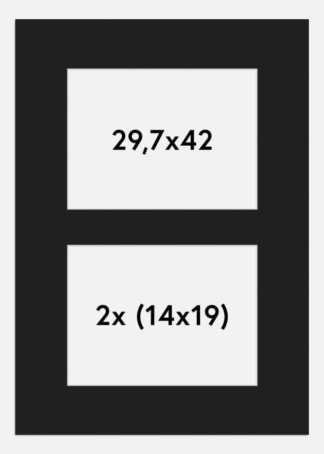 Paspartuu muster 29,7x42 cm - kollaaz 2 pildid (14x19 cm)