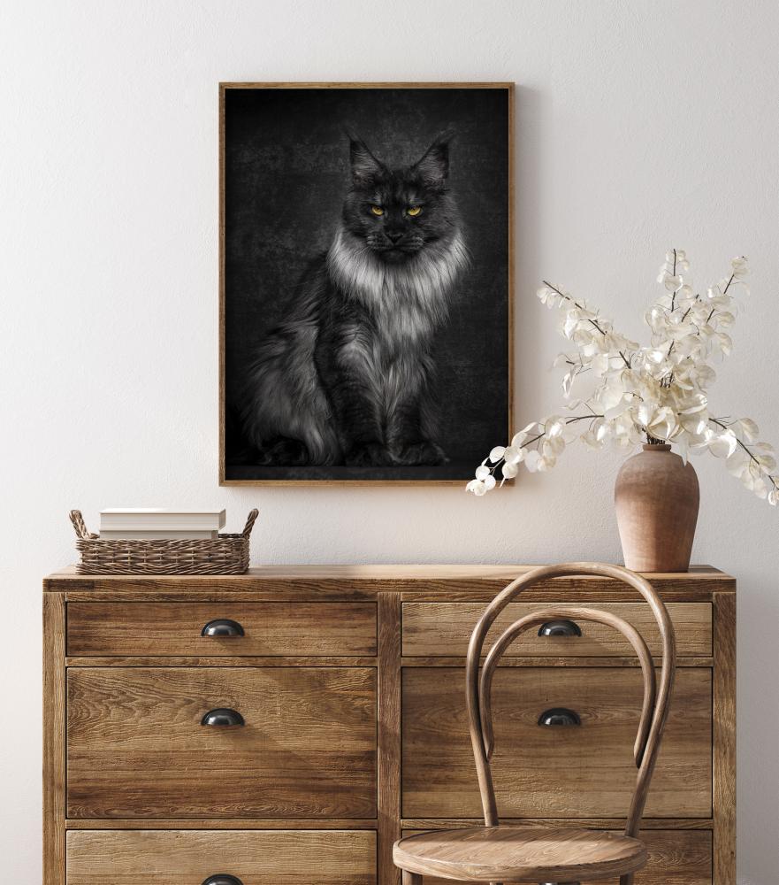 Maincoon reklaamplakat